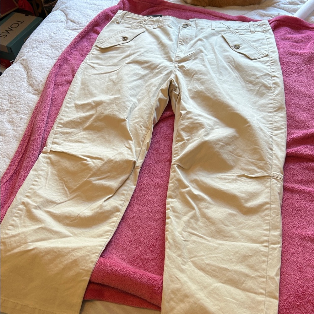 Banana Republic Cream Chino Pants